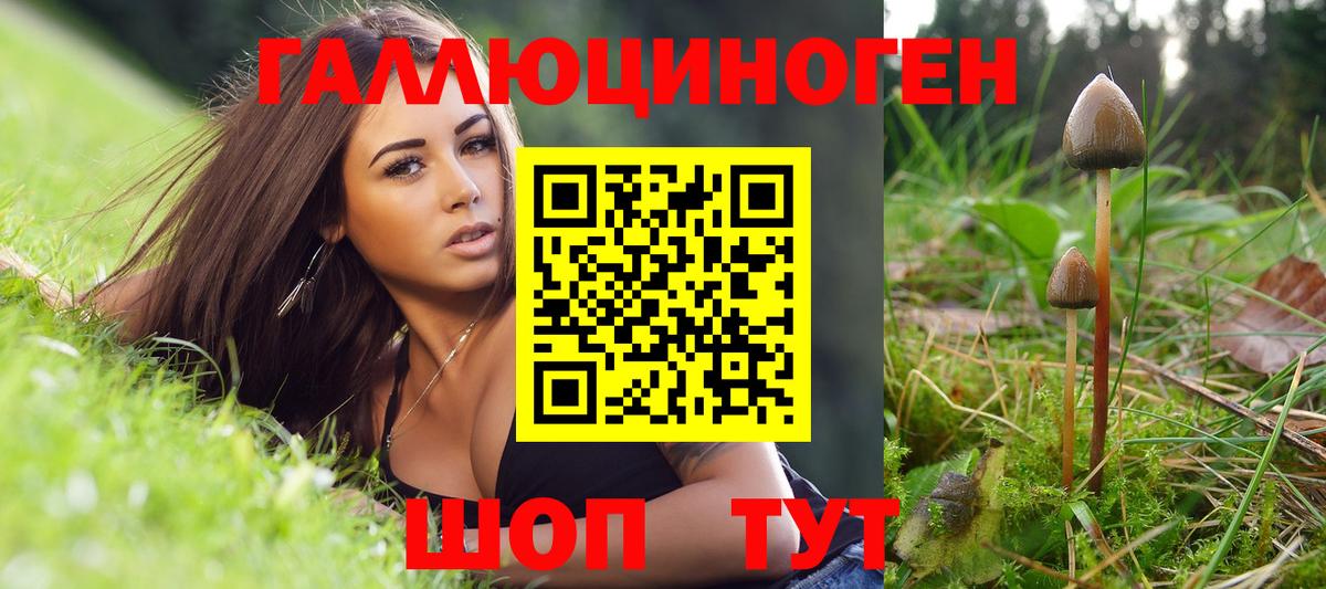 Псилоцибиновые грибы Magic Shrooms  наркошоп  Александров  Вход с VPN 